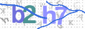 CAPTCHA 验证图片