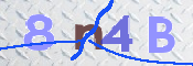 CAPTCHA 驗證圖片