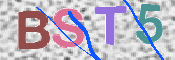 CAPTCHA 验证图片