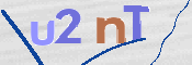CAPTCHA 验证图片