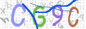 CAPTCHA 验证图片