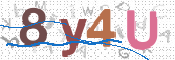 CAPTCHA 驗證圖片
