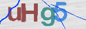 CAPTCHA 验证图片