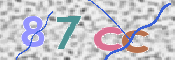 CAPTCHA 验证图片