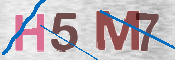 CAPTCHA 驗證圖片