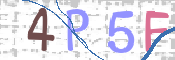 CAPTCHA 验证图片