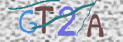 CAPTCHA 验证图片