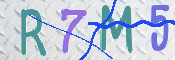 CAPTCHA 验证图片