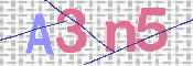 CAPTCHA 驗證圖片