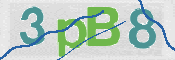 CAPTCHA 验证图片