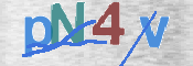 CAPTCHA 验证图片