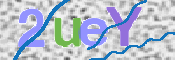 CAPTCHA 验证图片