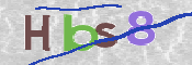 CAPTCHA 验证图片