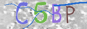 CAPTCHA 验证图片