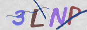 CAPTCHA 驗證圖片