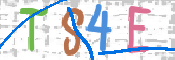 CAPTCHA 验证图片