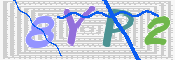 CAPTCHA 验证图片