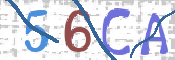 CAPTCHA 驗證圖片