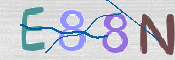 CAPTCHA 验证图片