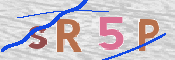CAPTCHA 验证图片
