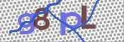 CAPTCHA 验证图片