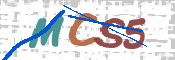 CAPTCHA 验证图片