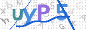 CAPTCHA 验证图片