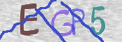 CAPTCHA 驗證圖片