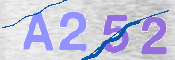 CAPTCHA 验证图片