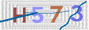 CAPTCHA 验证图片
