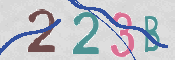 CAPTCHA 验证图片