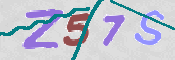 CAPTCHA 验证图片
