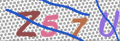 CAPTCHA 验证图片