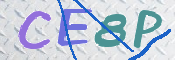 CAPTCHA 验证图片