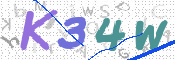 CAPTCHA 验证图片