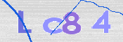CAPTCHA 验证图片