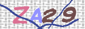CAPTCHA 验证图片