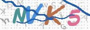 CAPTCHA 验证图片