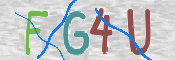 CAPTCHA 验证图片