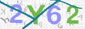 CAPTCHA 验证图片