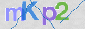 CAPTCHA 验证图片