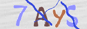 CAPTCHA 验证图片