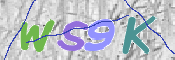 CAPTCHA 验证图片