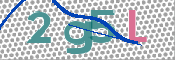 CAPTCHA 验证图片
