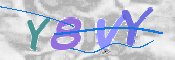 CAPTCHA 驗證圖片