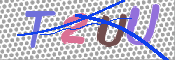 CAPTCHA 验证图片