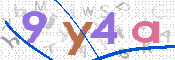 CAPTCHA 驗證圖片