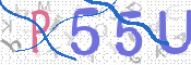 CAPTCHA 验证图片