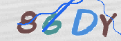 CAPTCHA 验证图片