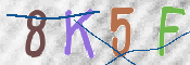 CAPTCHA 验证图片
